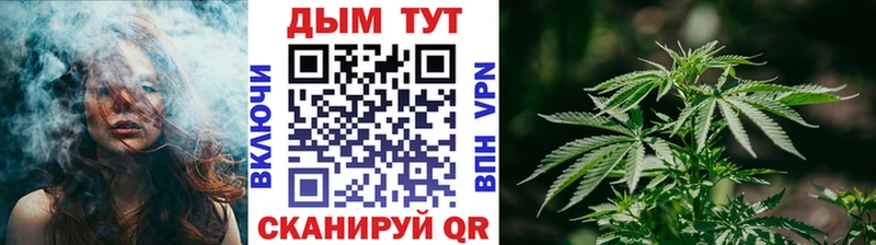 Канабис гибрид  Самара 